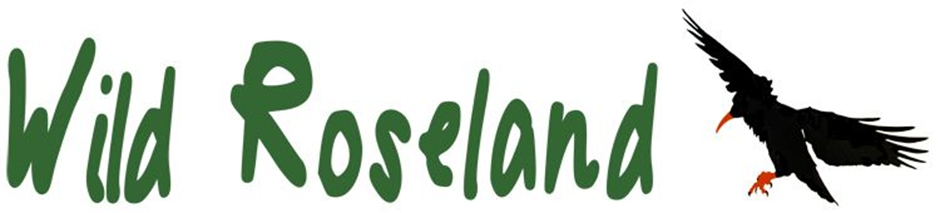 WilsRoselandlogo.jpeg