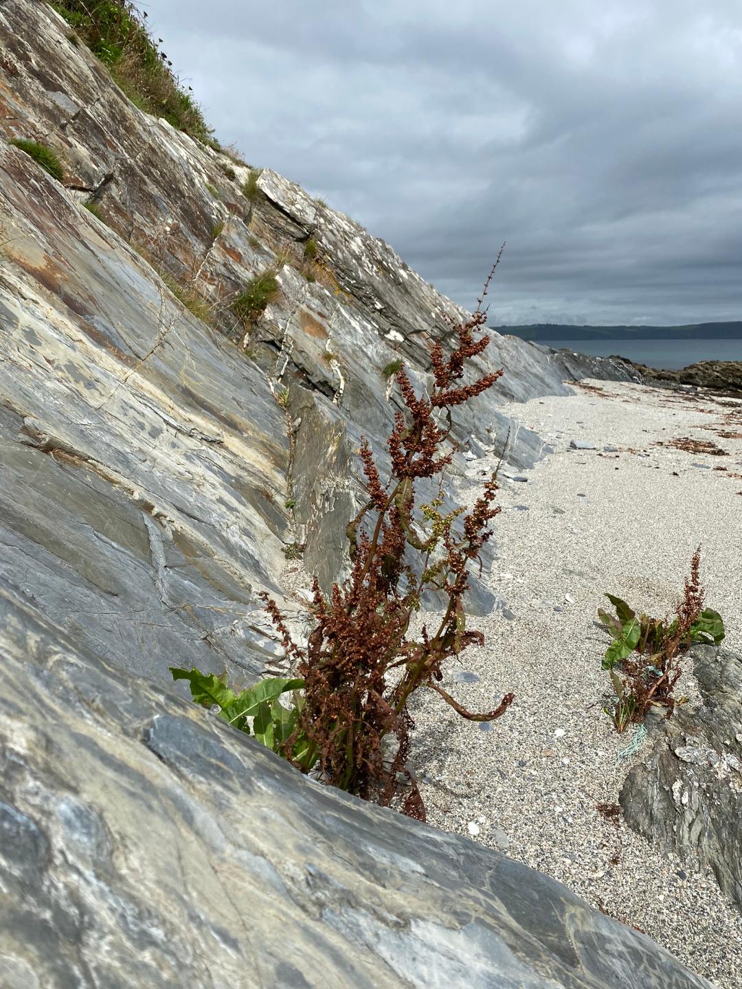 shore dock rock face