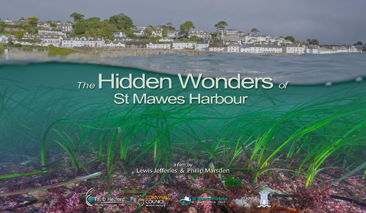 stmawes.jpeg